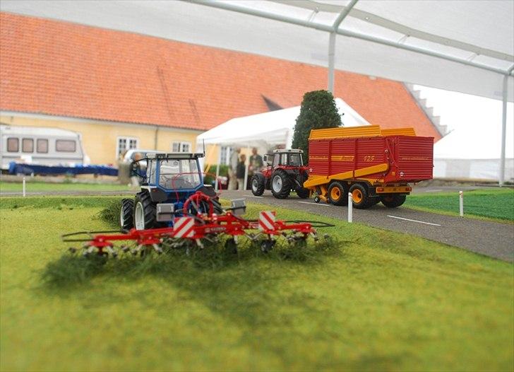 Birkendegaard 2011 billede 7