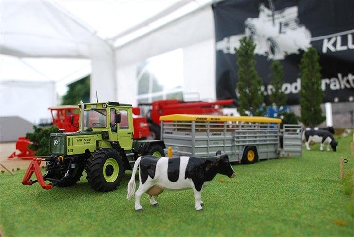 Birkendegaard 2011 billede 11