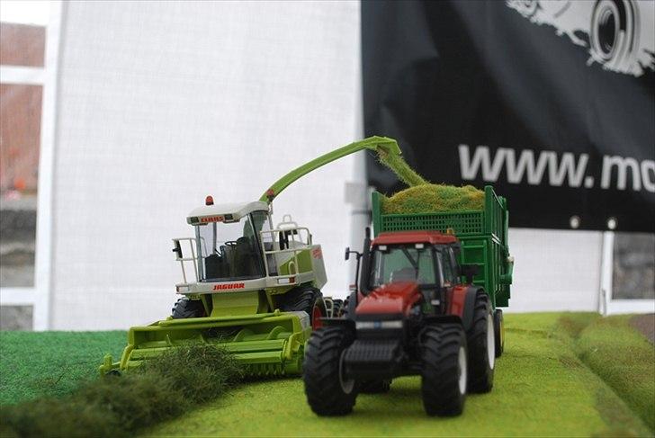 Birkendegaard 2011 billede 12