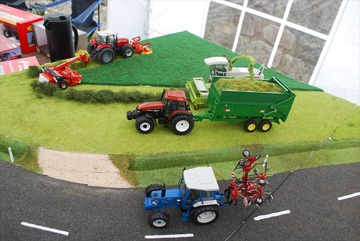 Birkendegaard 2011 billede 13