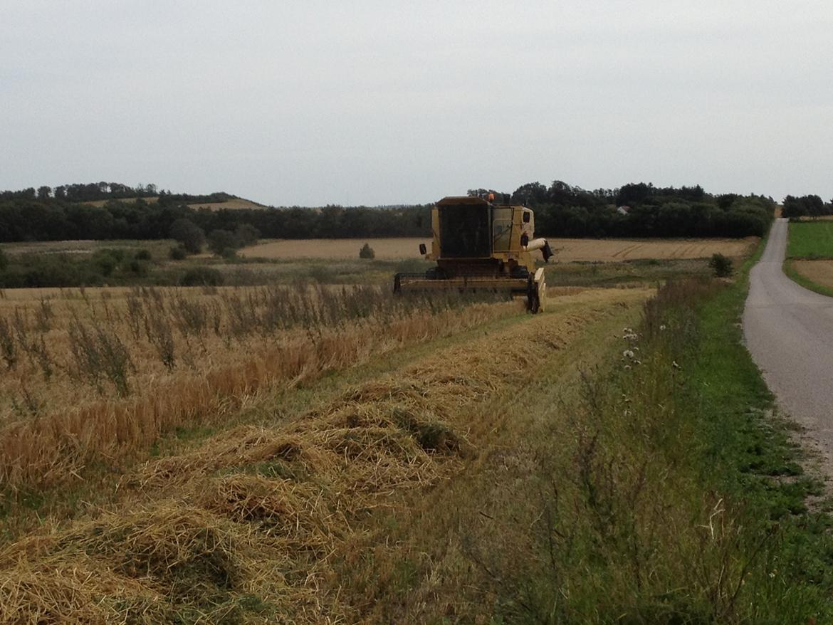 New Holland TX 30 - Tx 30'ern der æder sig igennem en uren mark. billede 6