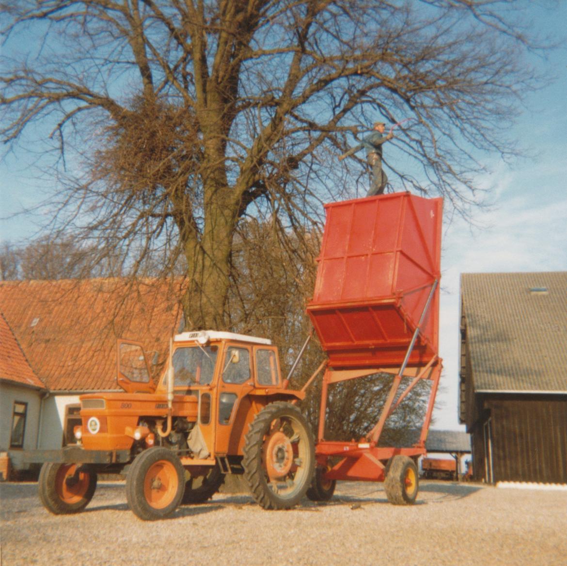 Fars gamle FIAT 800 - Fiat 800 + Spragelsevogn = Et godt stillads når der skulle beskæres træer.... billede 13