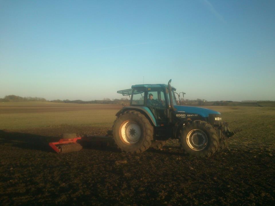 New Holland 8560- Låne Traktor.  - Lillebror prøver at køre alene ;) så er han godt til pas ;) billede 16