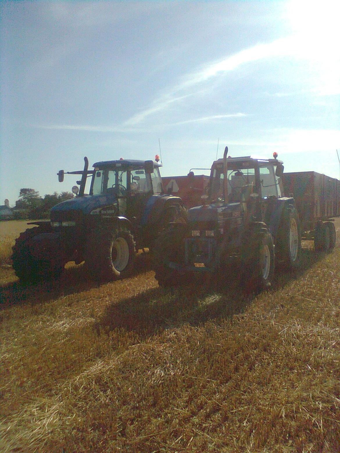 skårupgård - lånte traktore 2012 :) billede 46