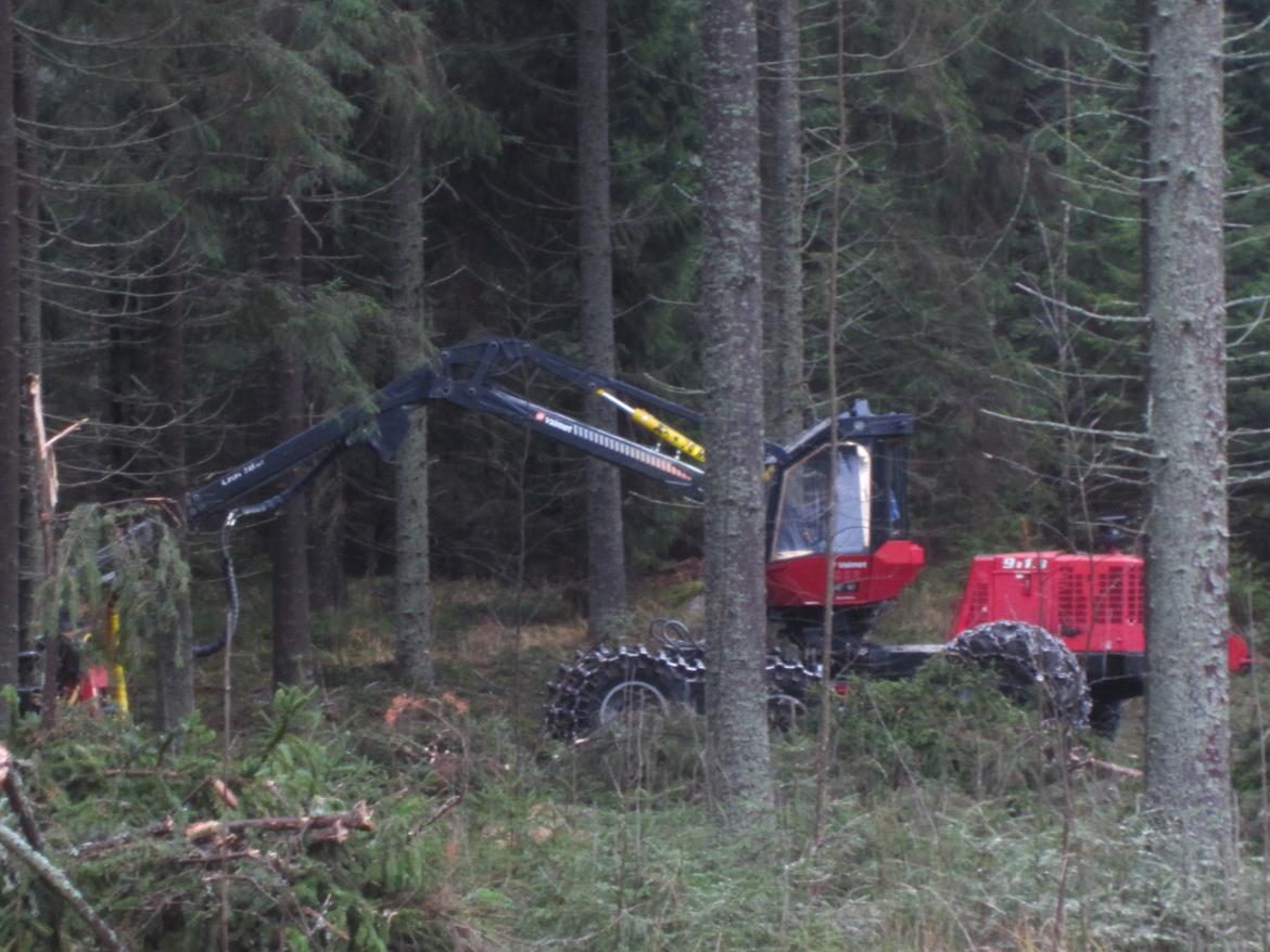 Sparke dæk tur i Sverige og Finland - En finner der havde et par skovmaskiner.. billede 167