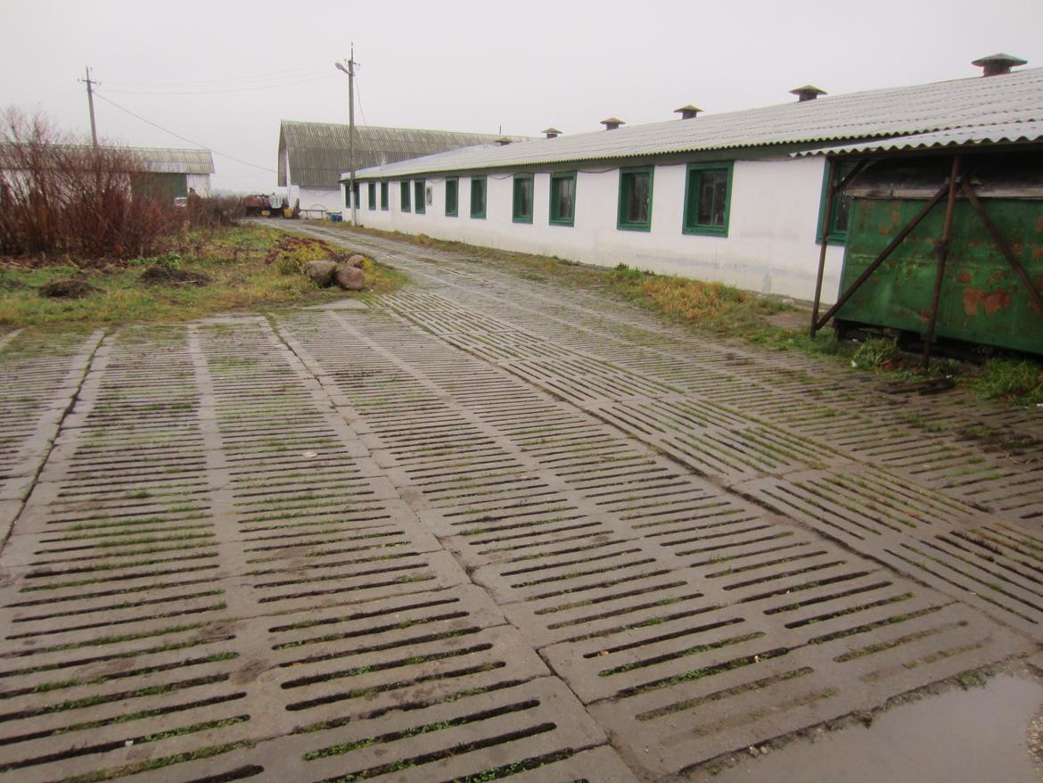 Rusland og Letland.. billede 27
