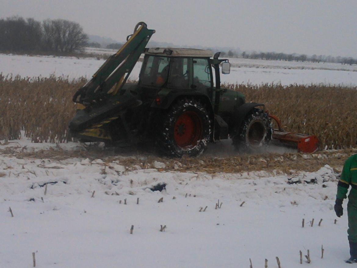 John Deere traktorer - Vi fik ikke alle majs i 2012, og da der så var hård frost fik vi maskinstationen til at knus  dem billede 123