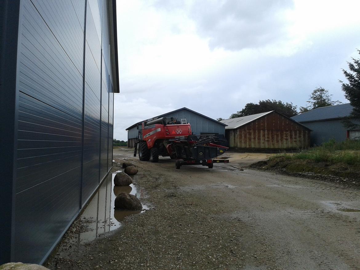 Vestergård - En Massey Ferguson mejetærsker, som vi sku ha på prøve.:) billede 209