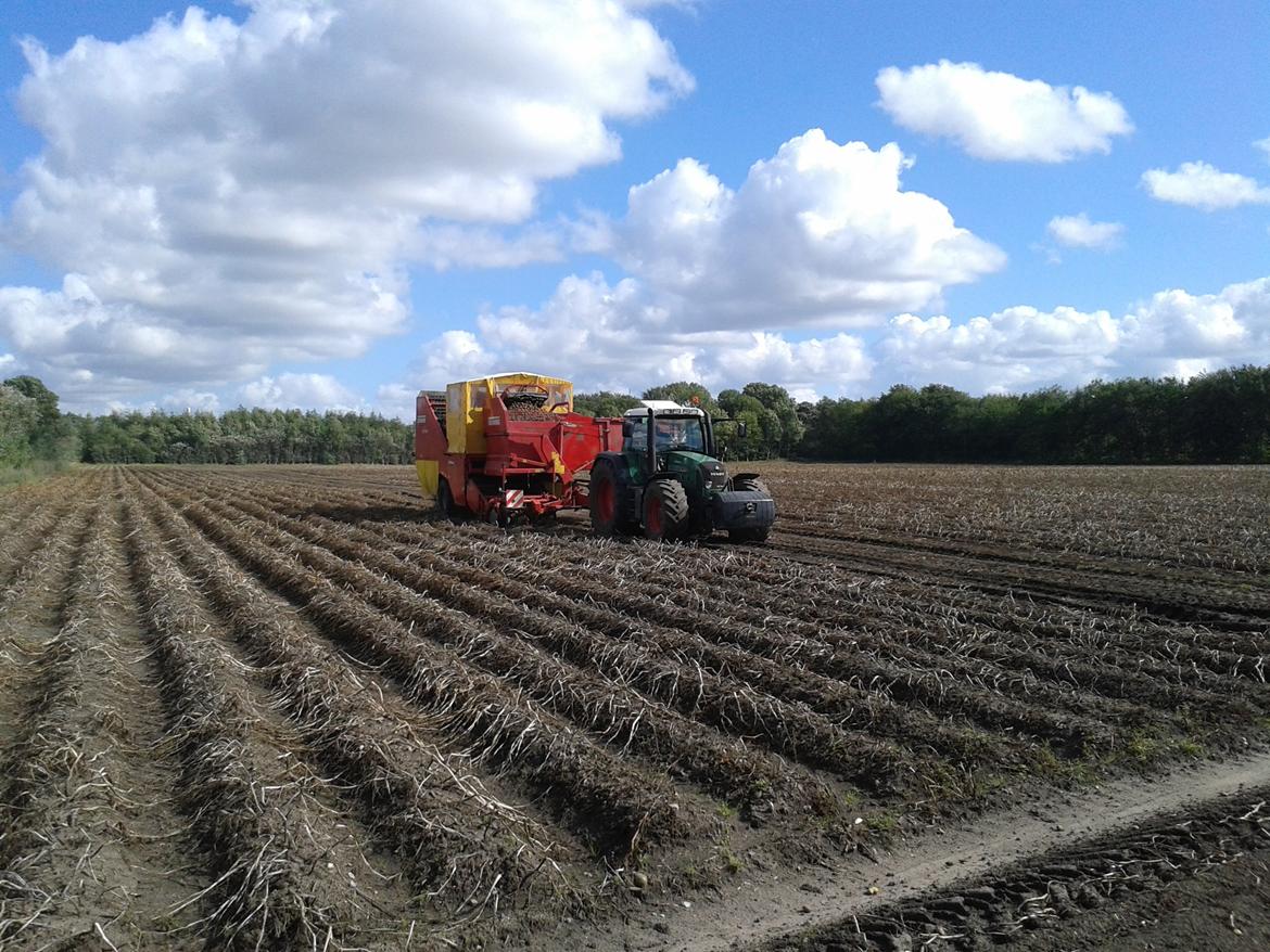 Vestergård - Fendt 820 Vario TMS + Grimme SE 170 - 60 billede 217