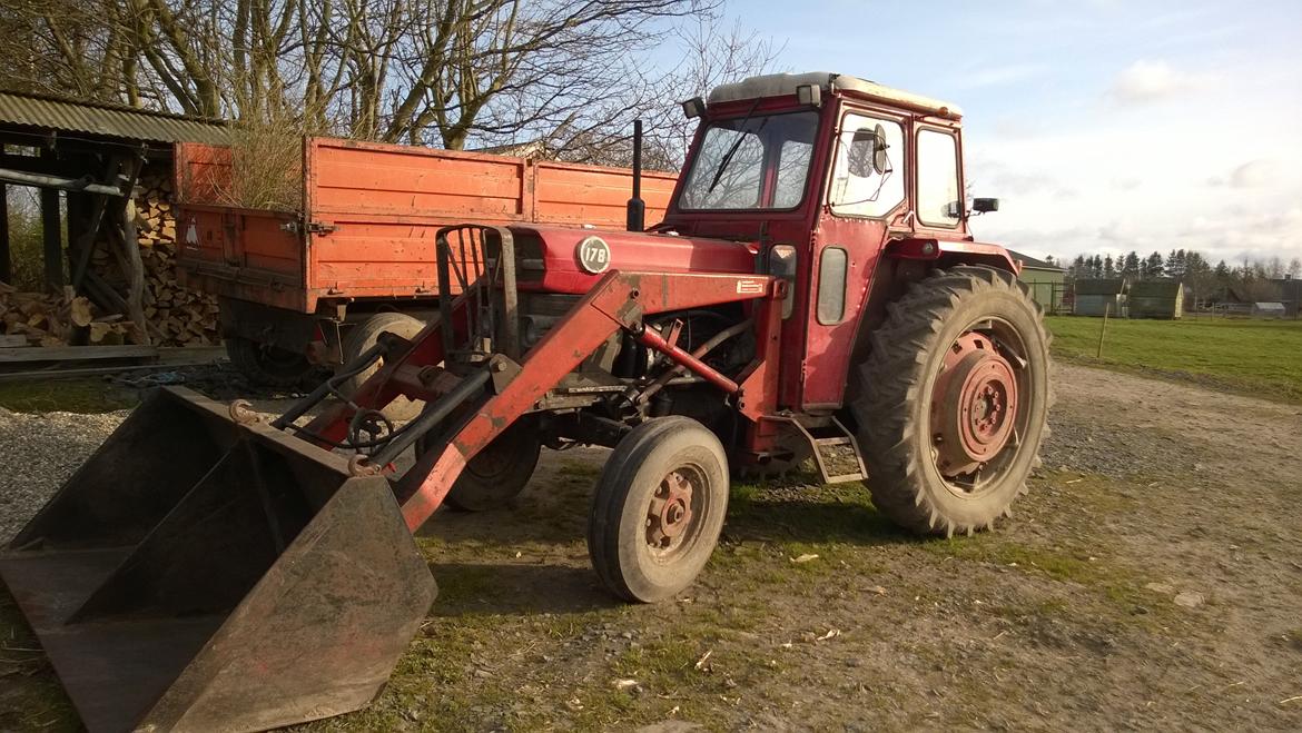 Massey Ferguson 178 billede 1