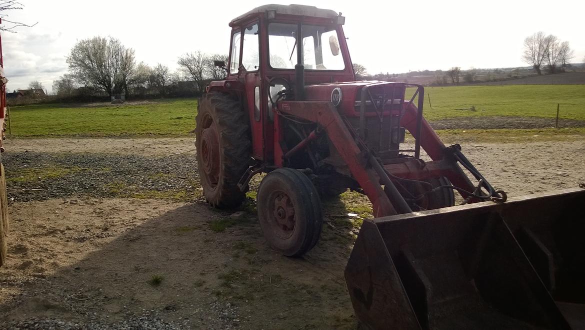 Massey Ferguson 178 billede 2