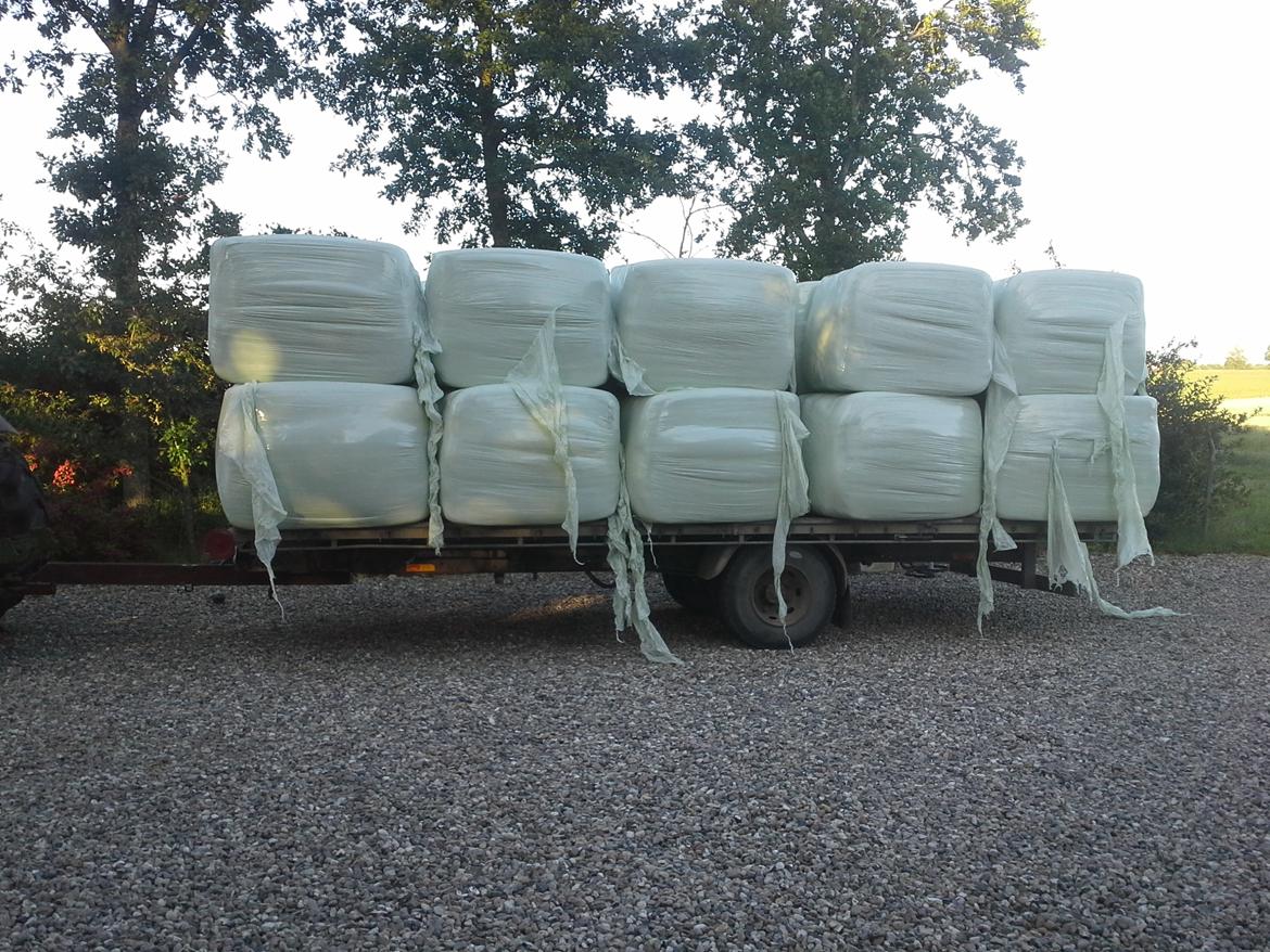 Fra Cargo til halmvogn - Hjemme med første læs wrap i sommers billede 5