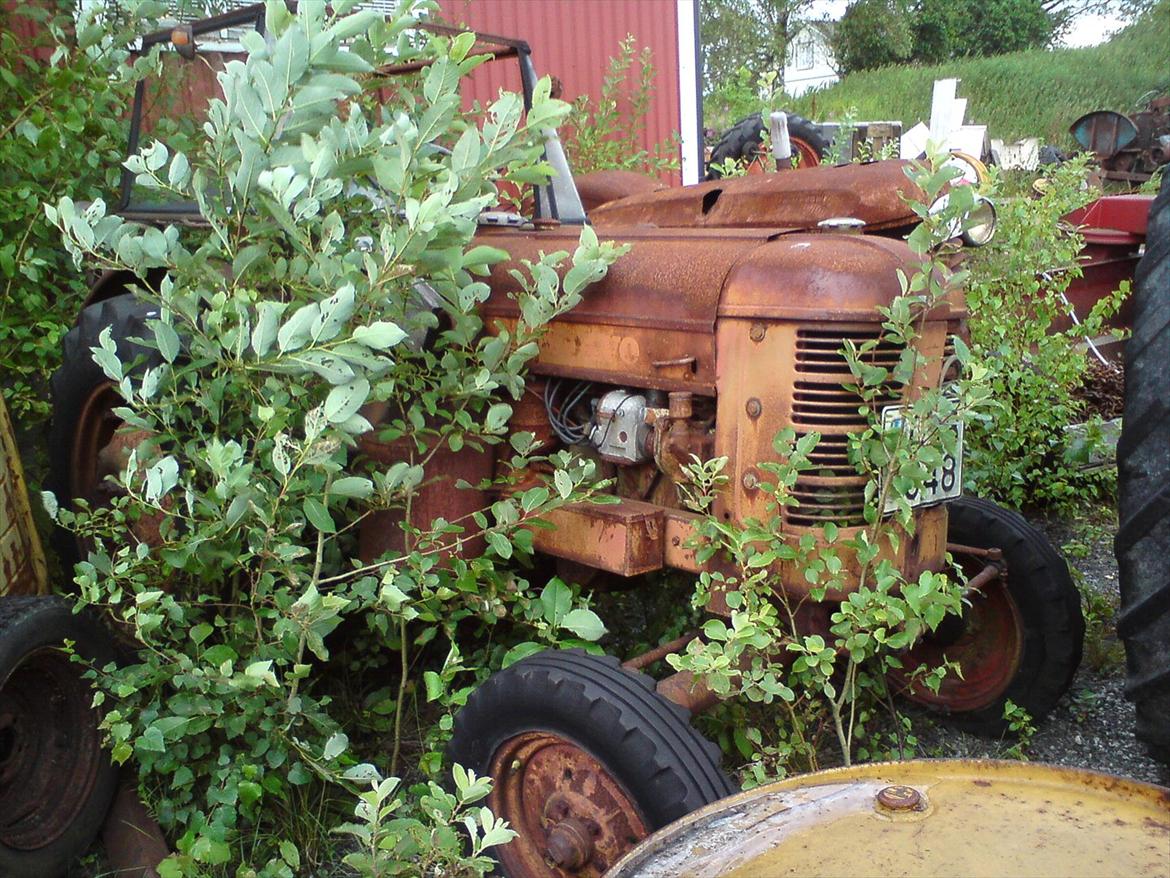 Gamle traktore billede 41