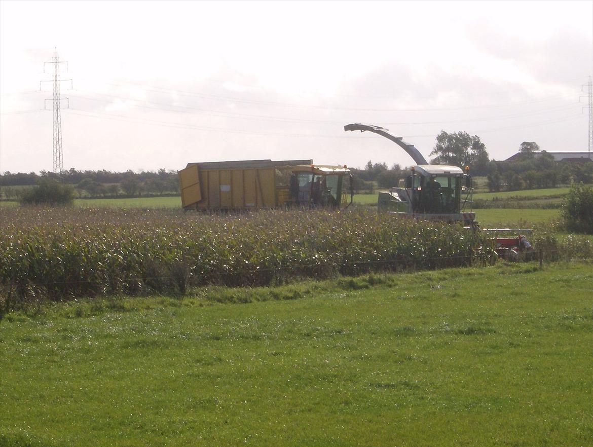 Rejsby maskinstation I/S billede 157