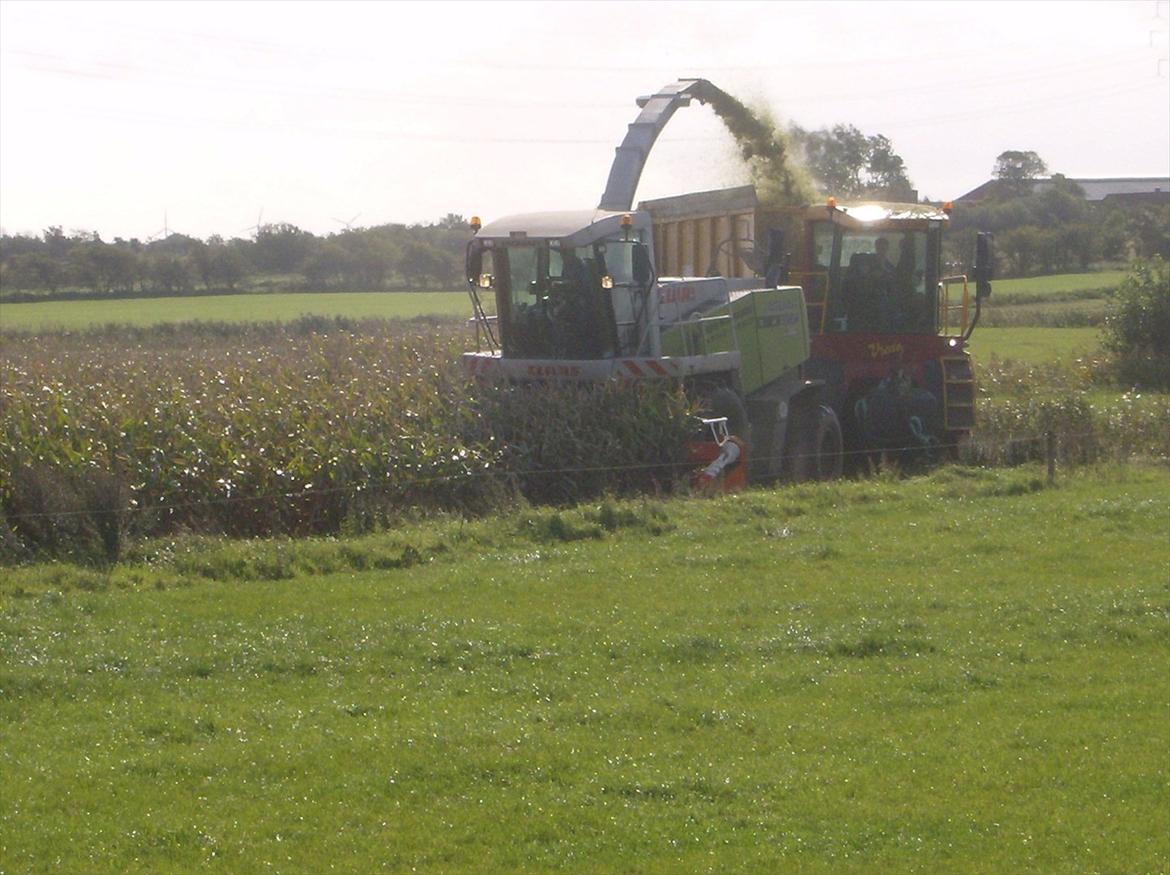 Rejsby maskinstation I/S billede 158