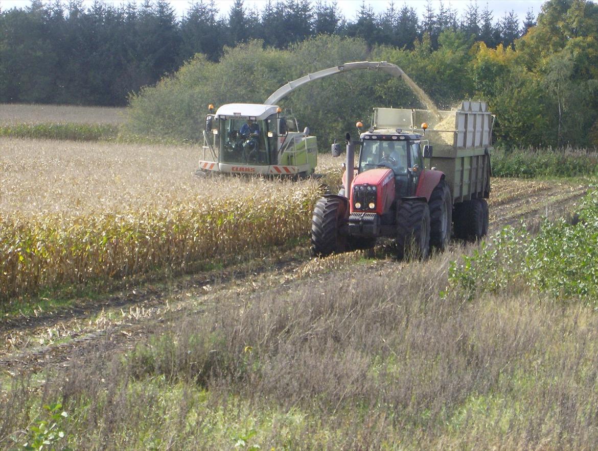 Rejsby maskinstation I/S billede 168