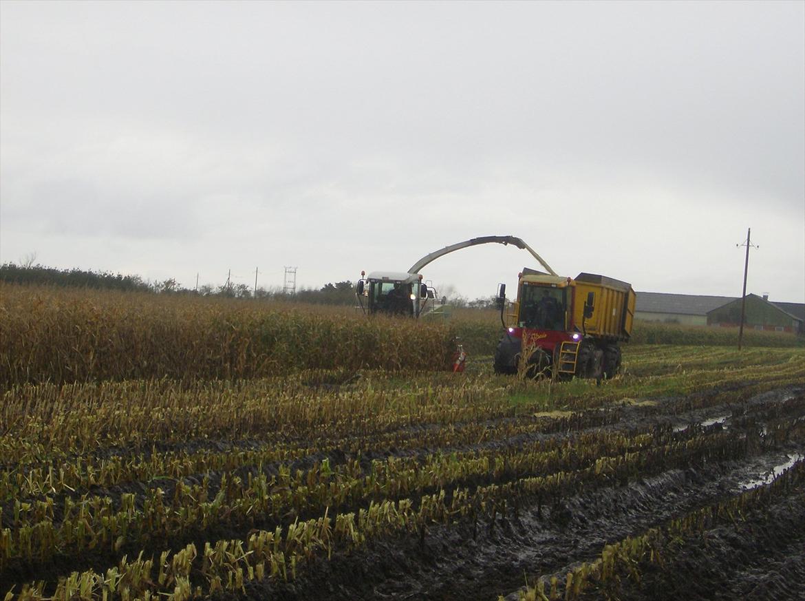 Rejsby maskinstation I/S billede 176