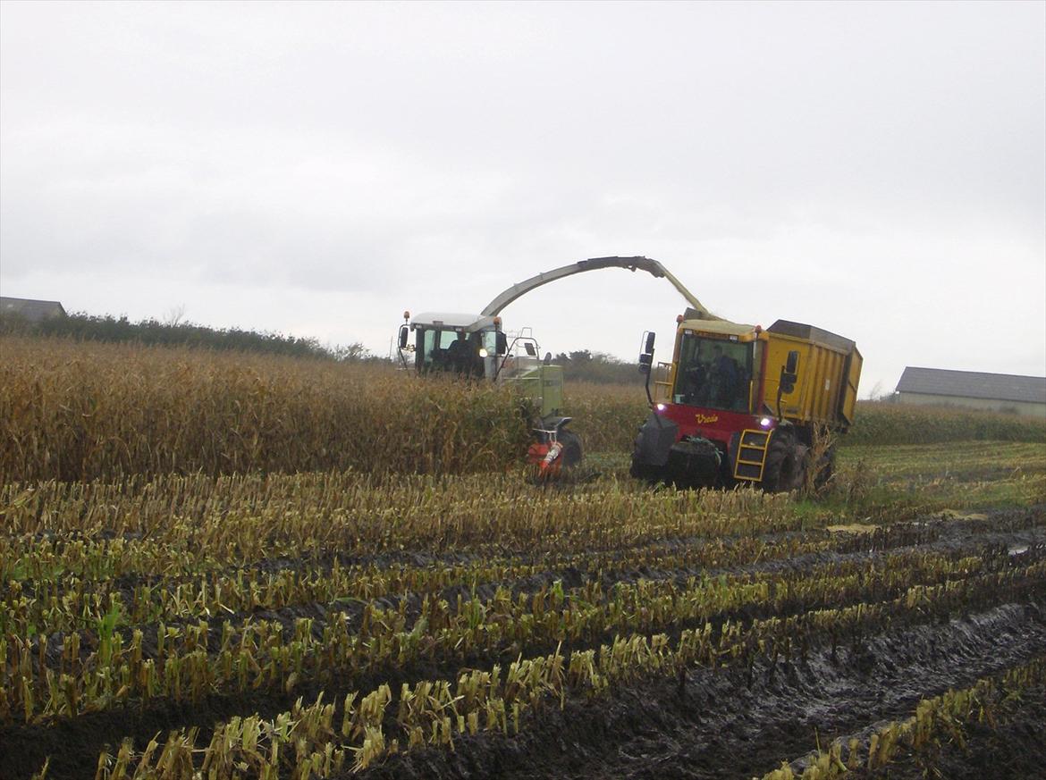 Rejsby maskinstation I/S billede 177