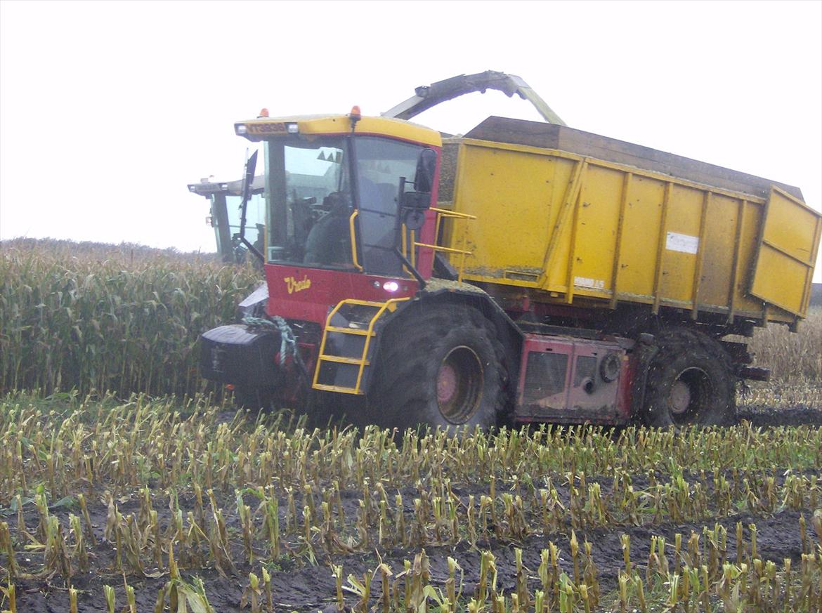 Rejsby maskinstation I/S billede 179