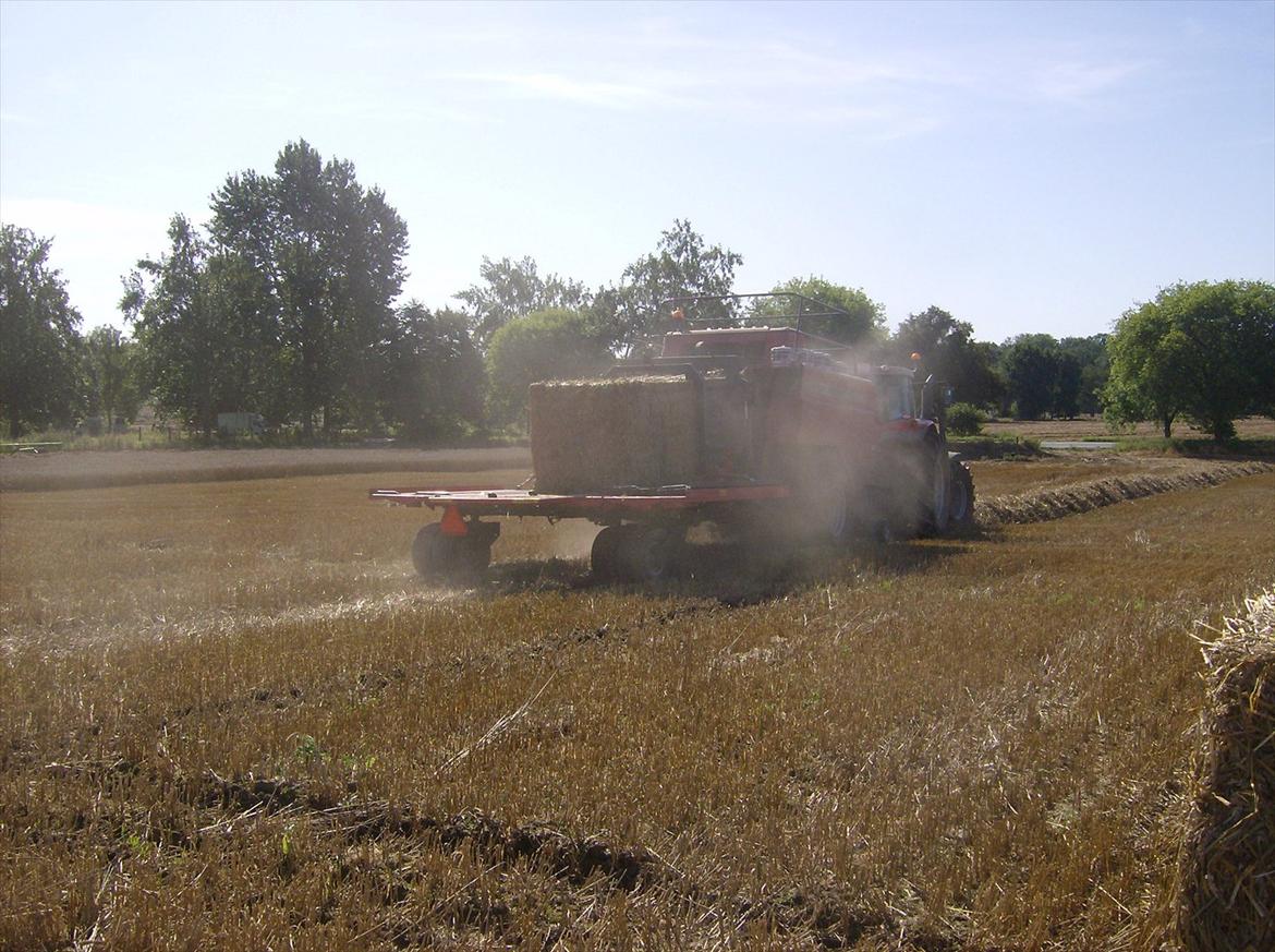 Rejsby maskinstation I/S billede 214