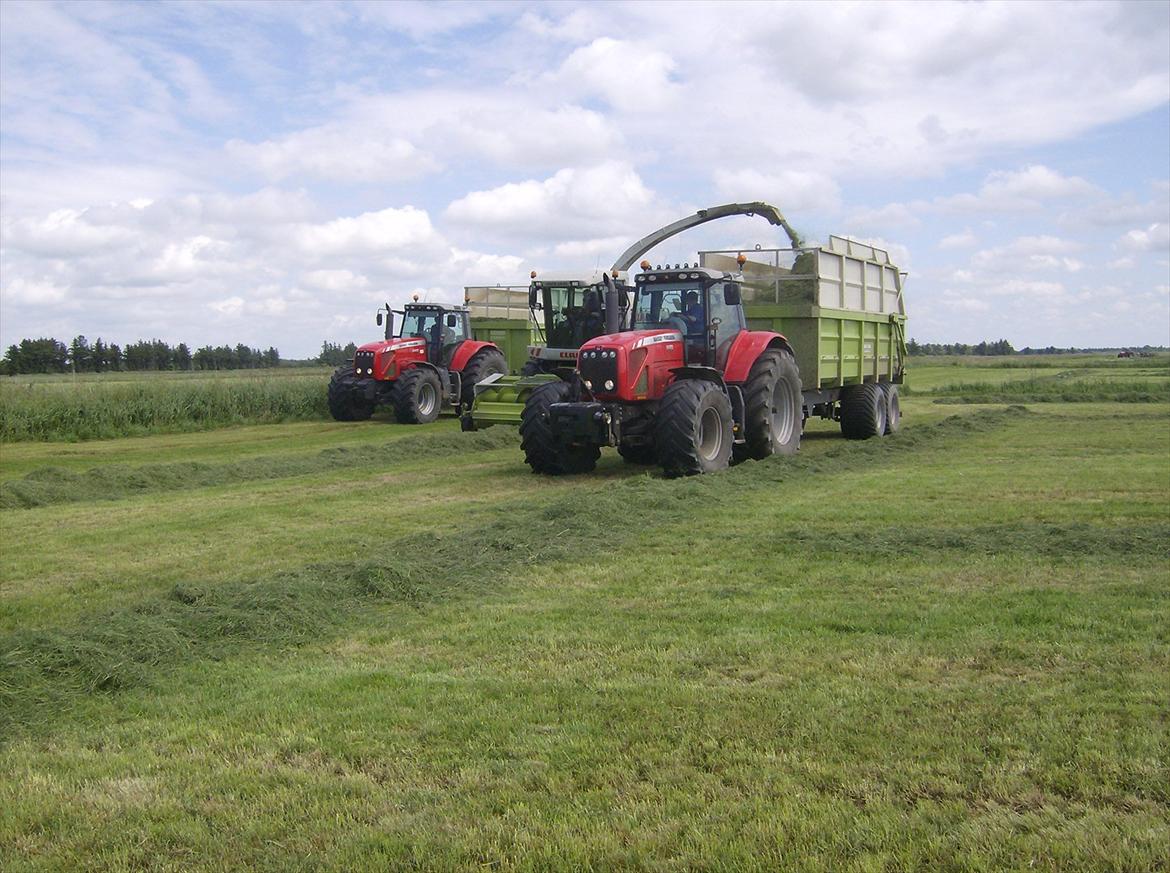 Rejsby maskinstation I/S billede 220