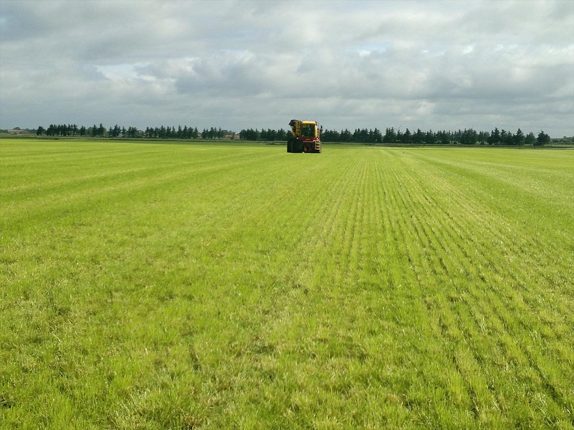 Rejsby maskinstation I/S billede 245