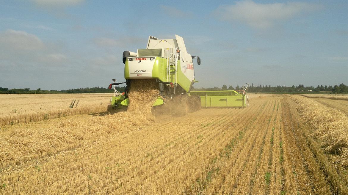 Rejsby maskinstation I/S billede 254