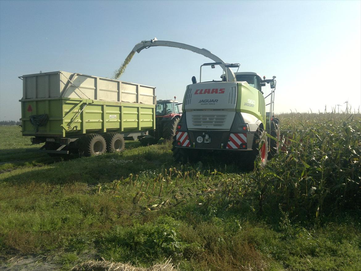 Rejsby maskinstation I/S billede 289