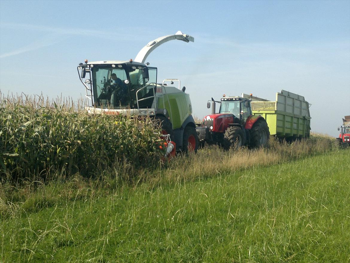 Rejsby maskinstation I/S billede 291