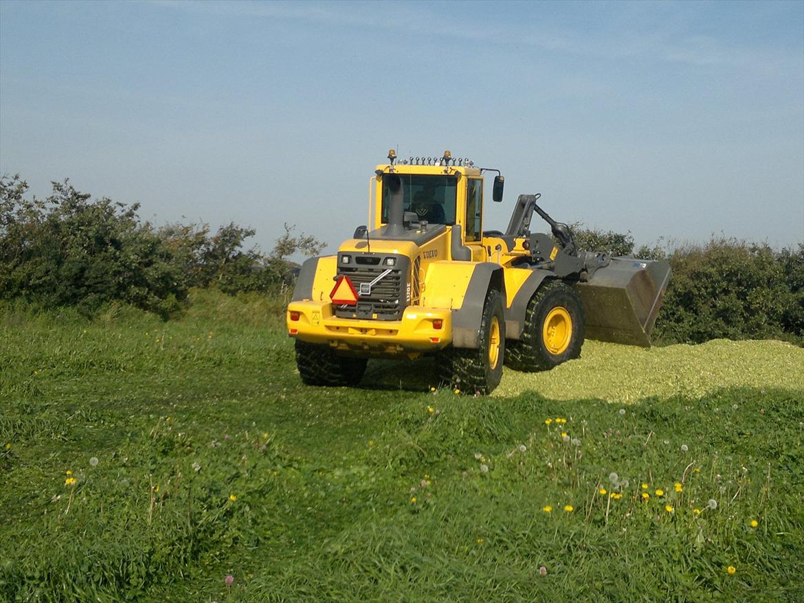 Rejsby maskinstation I/S billede 295