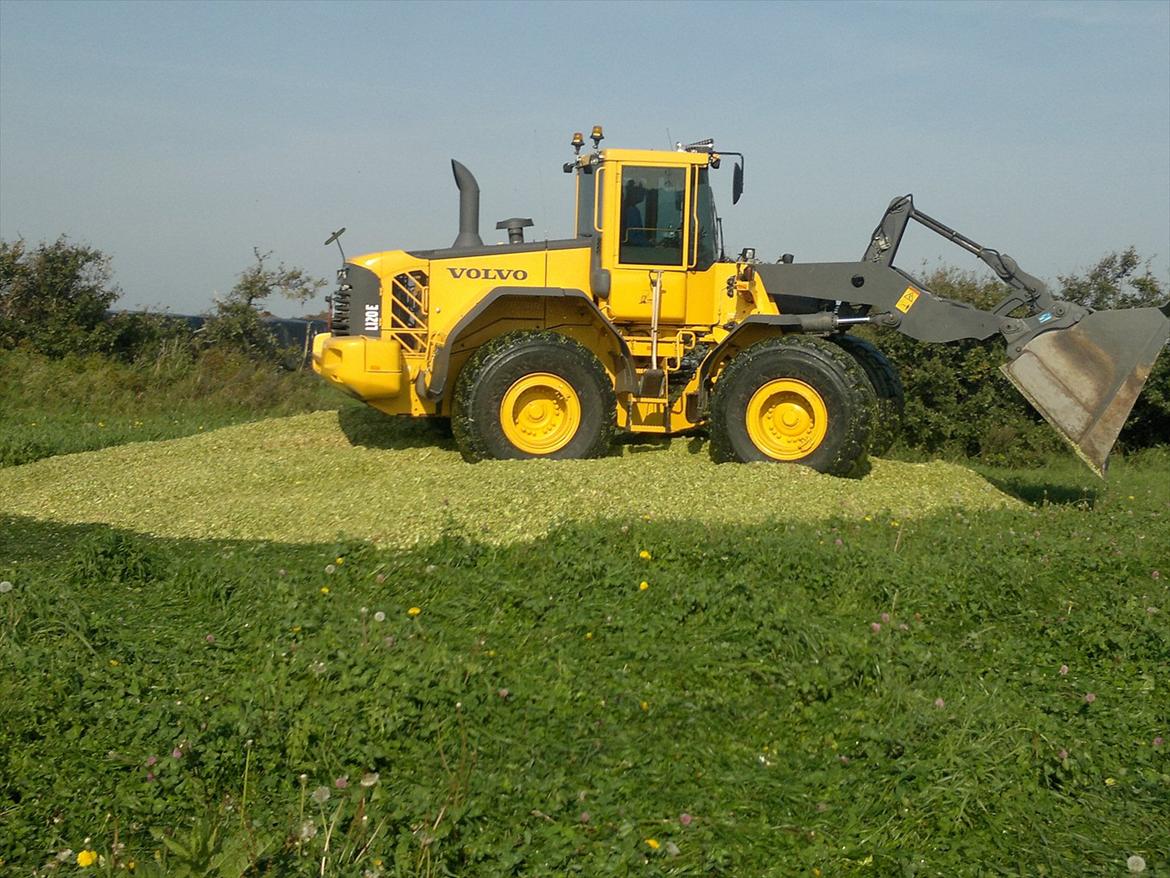 Rejsby maskinstation I/S billede 296