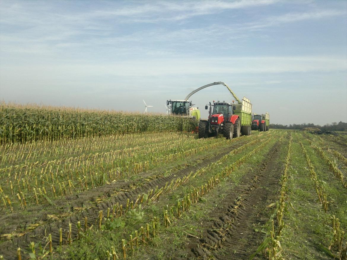 Rejsby maskinstation I/S billede 301
