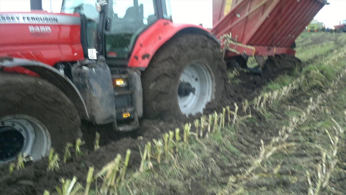 Rejsby maskinstation I/S billede 309