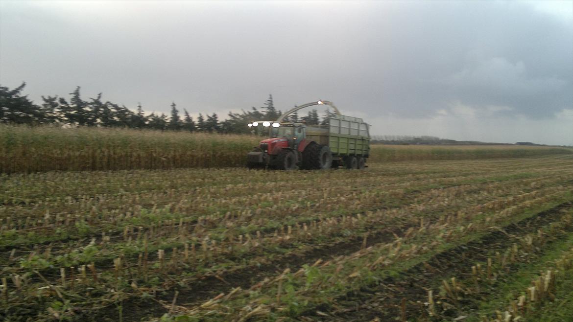 Rejsby maskinstation I/S billede 323
