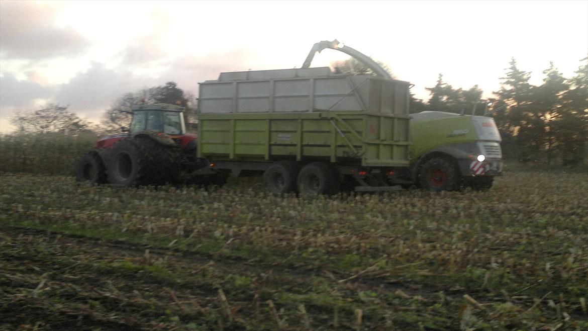 Rejsby maskinstation I/S billede 325