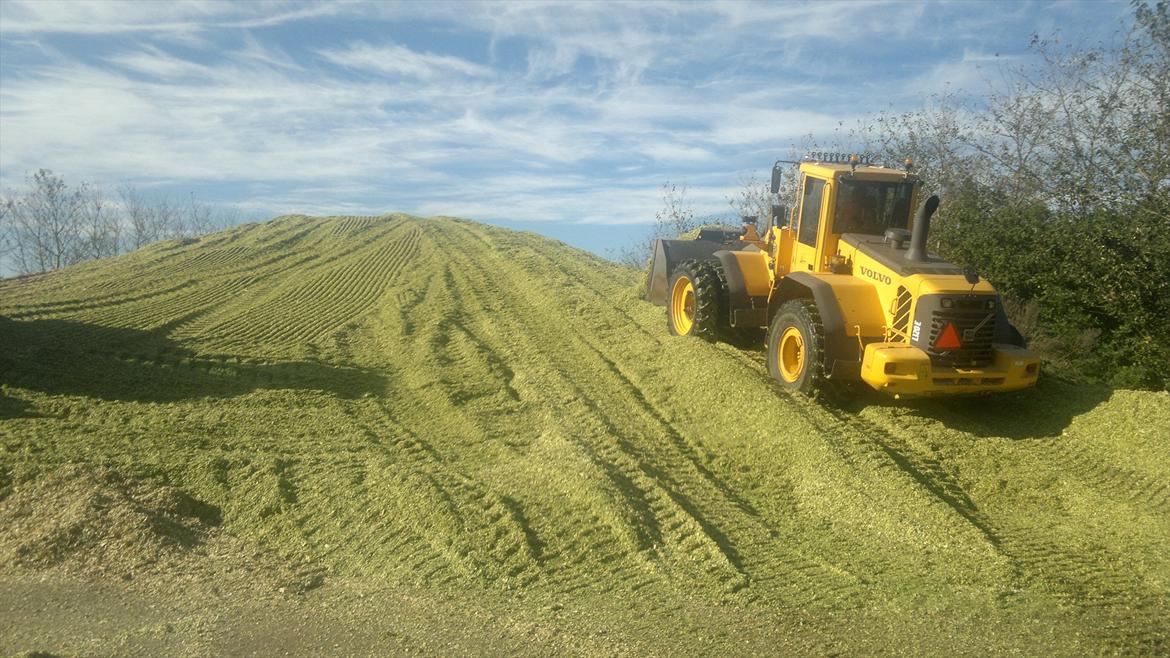 Rejsby maskinstation I/S billede 330