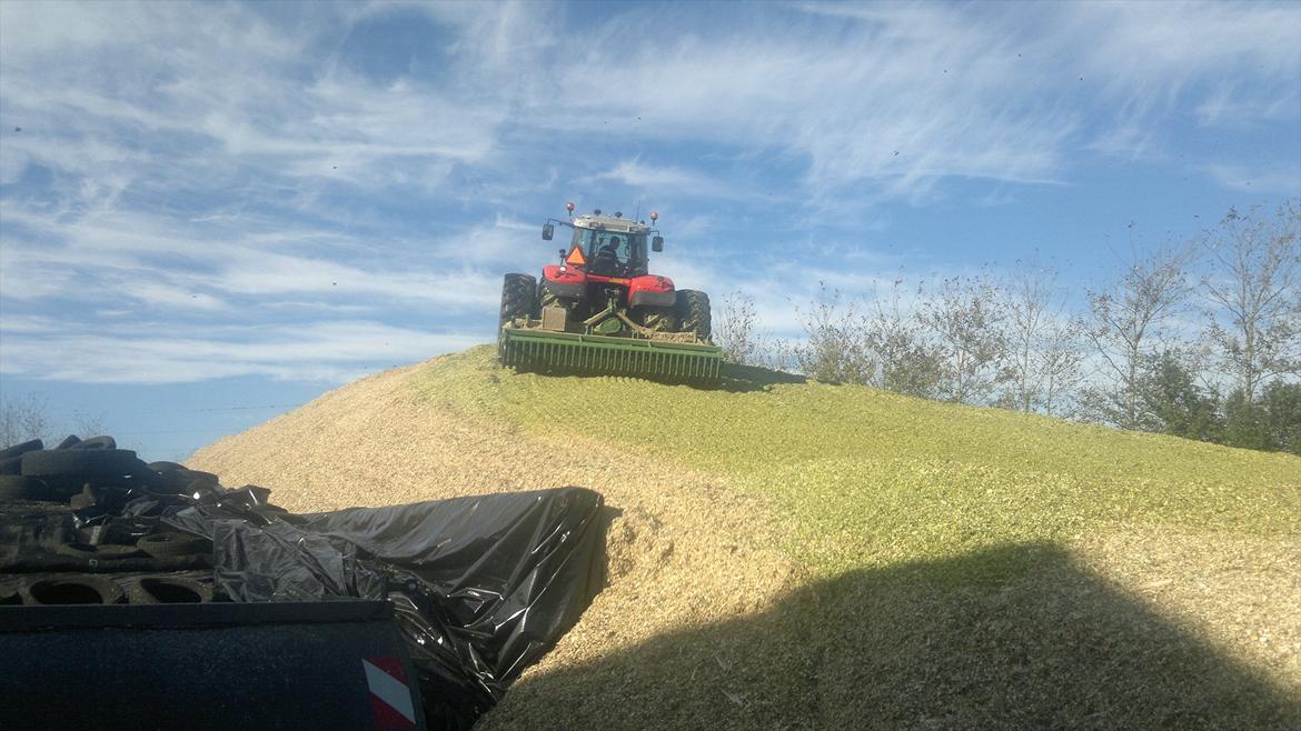 Rejsby maskinstation I/S billede 335