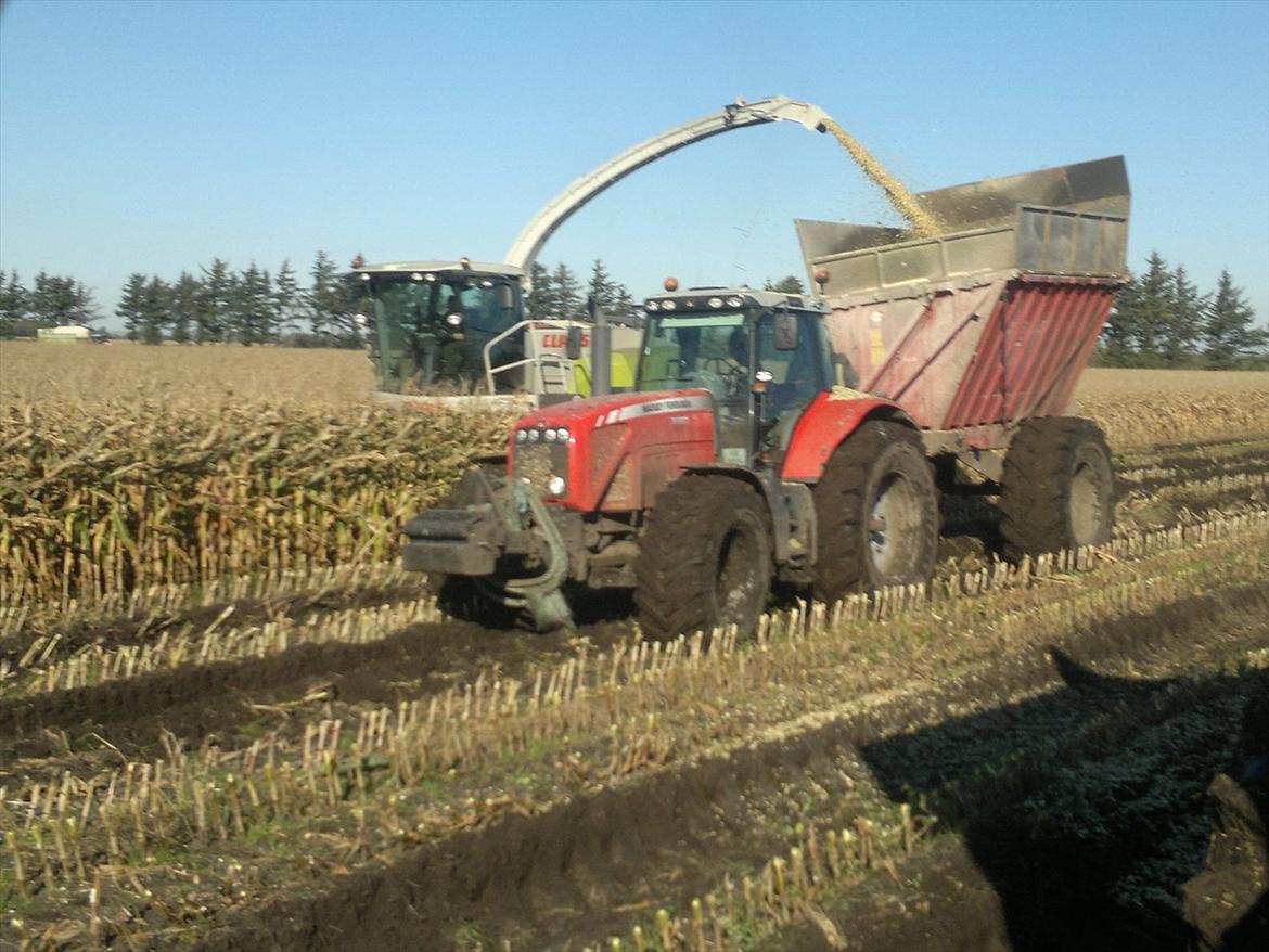 Rejsby maskinstation I/S billede 354