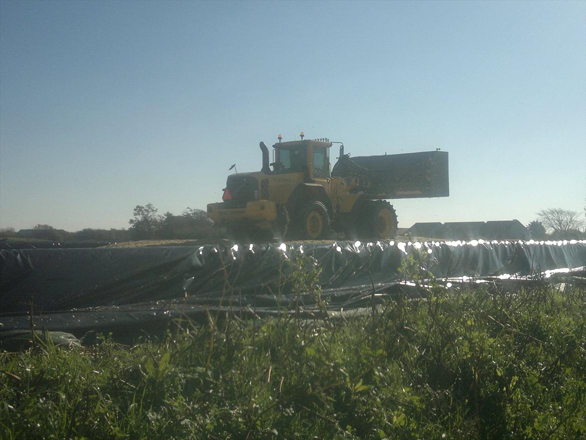Rejsby maskinstation I/S billede 358