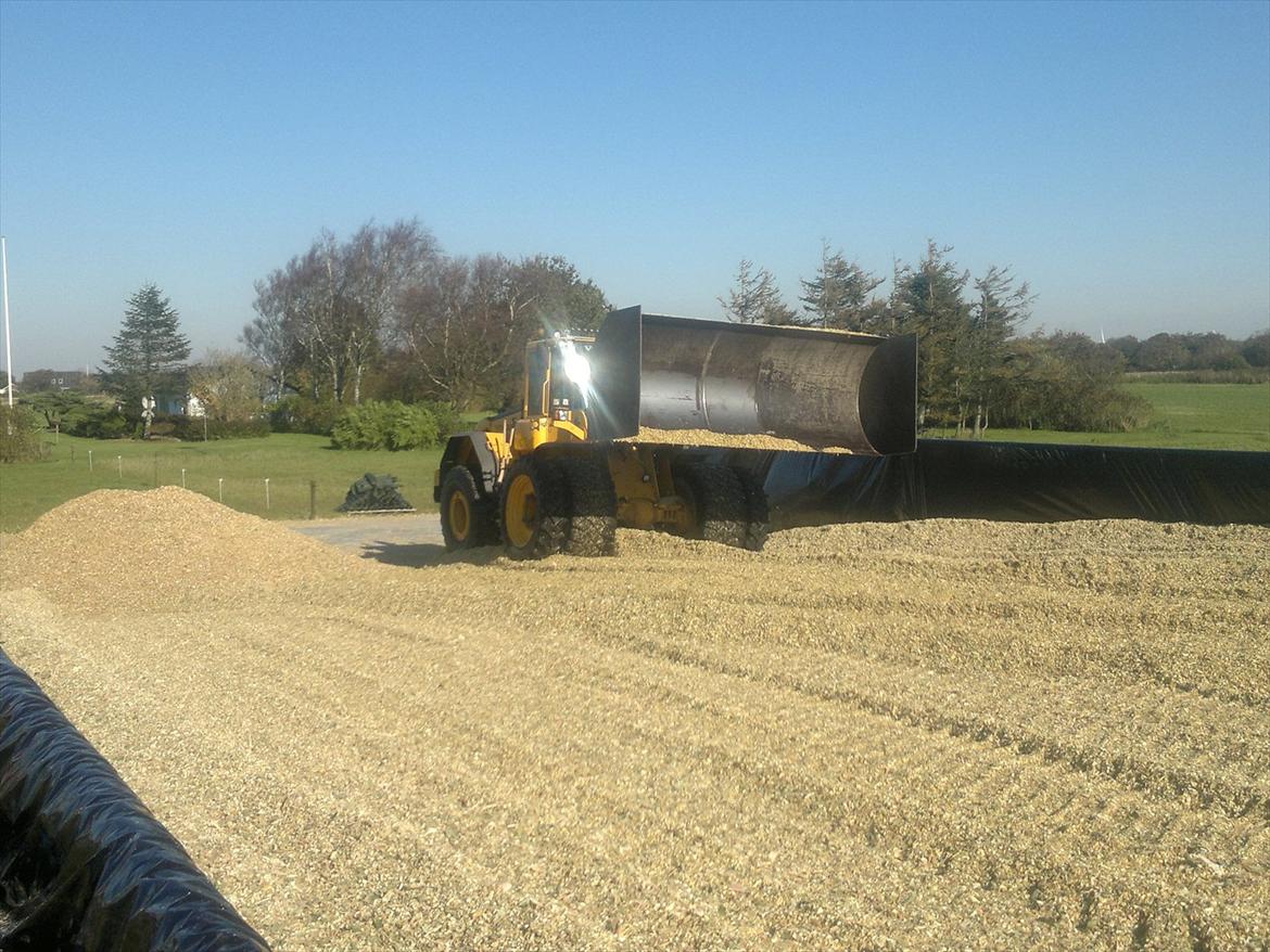 Rejsby maskinstation I/S billede 359