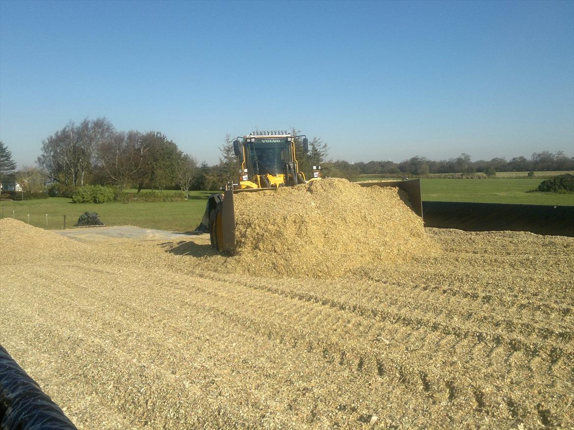 Rejsby maskinstation I/S billede 361