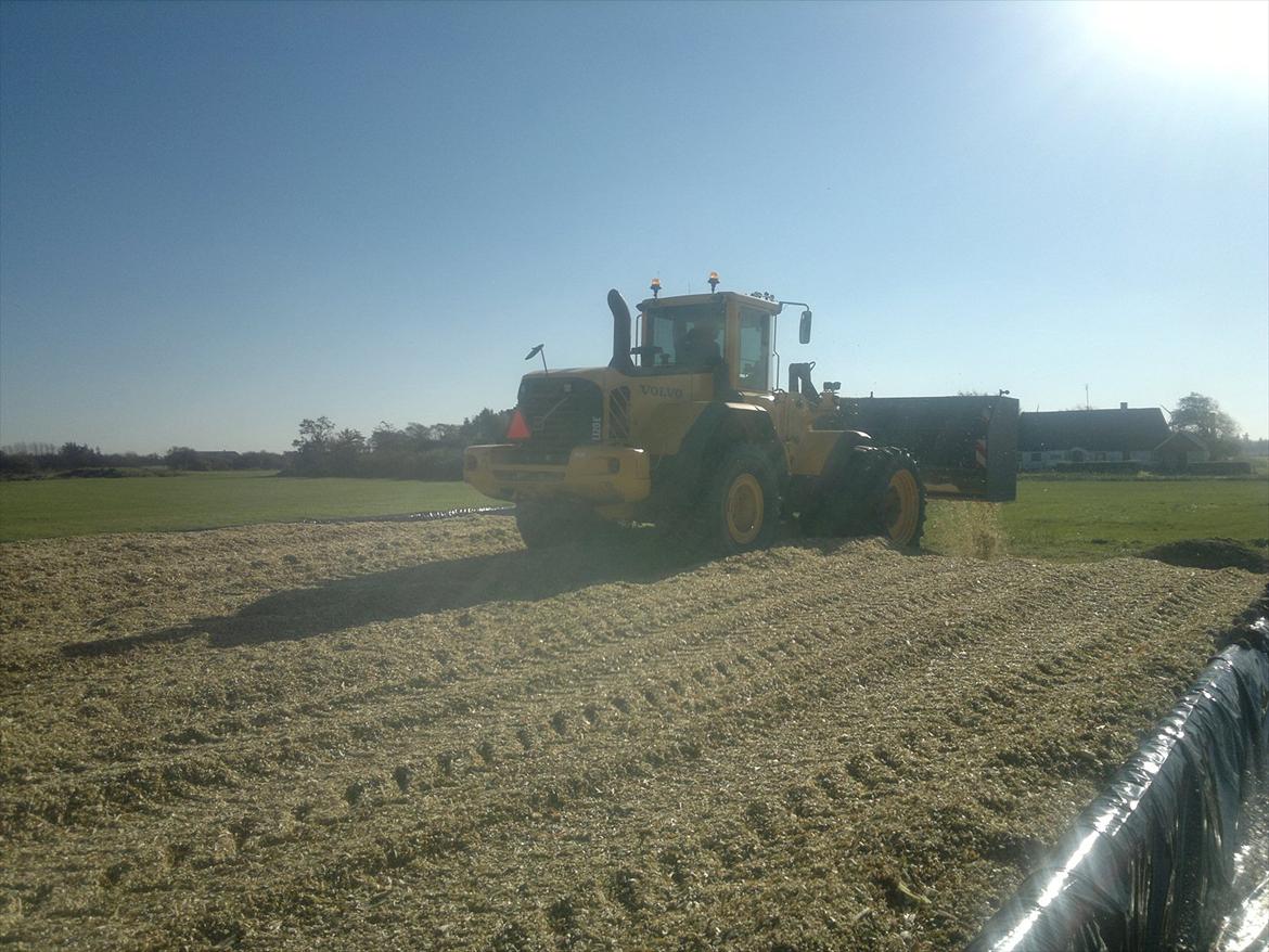 Rejsby maskinstation I/S billede 364
