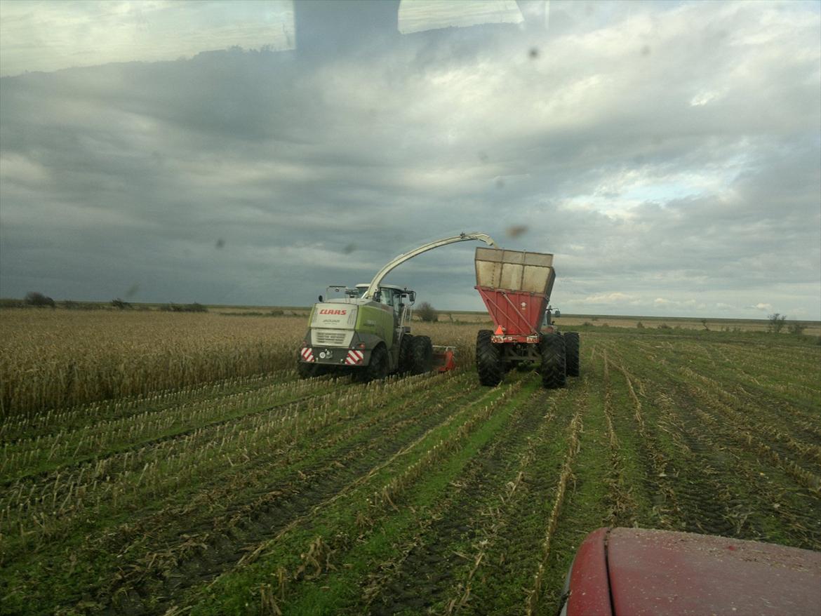 Rejsby maskinstation I/S billede 367