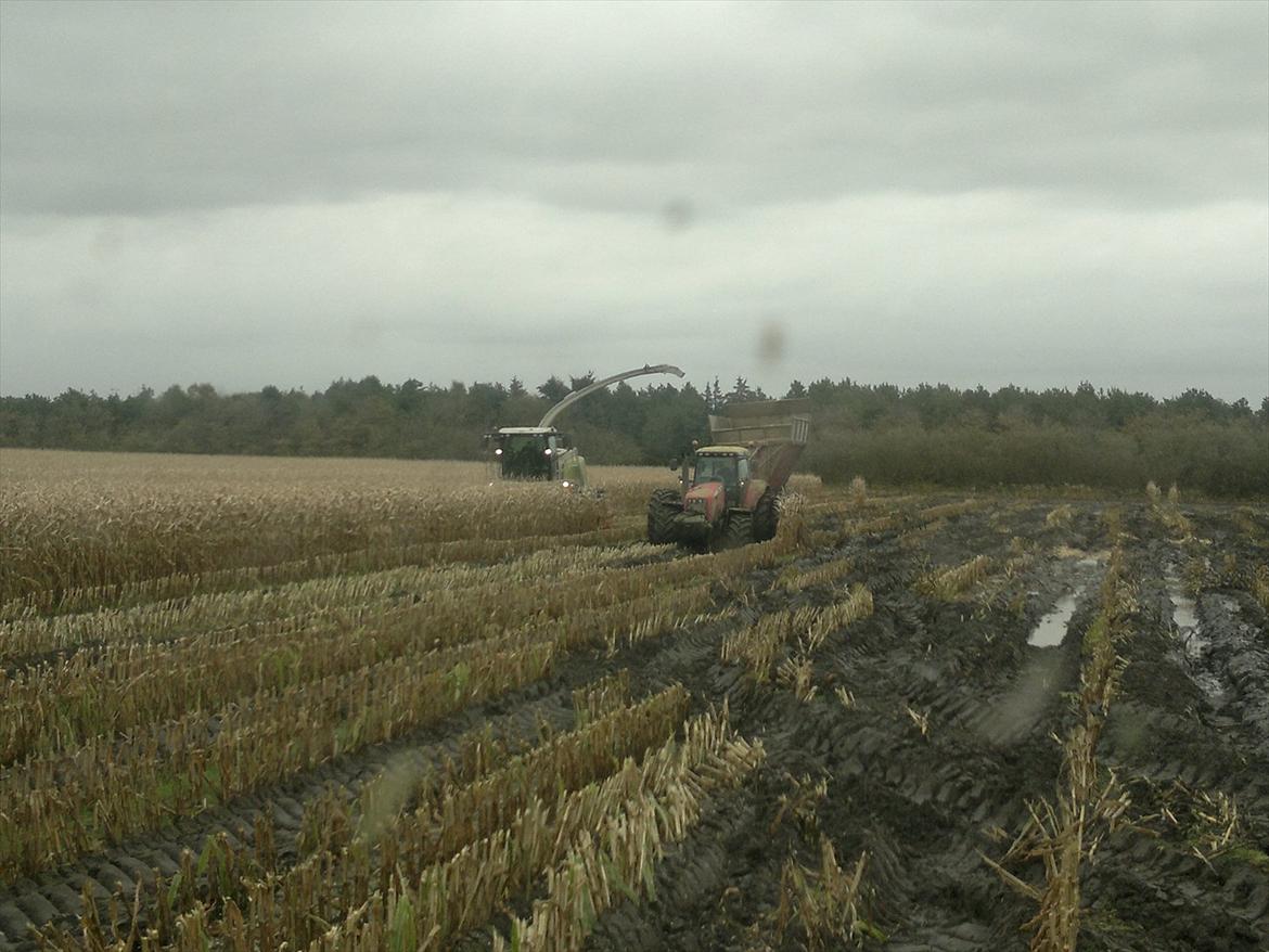 Rejsby maskinstation I/S billede 370