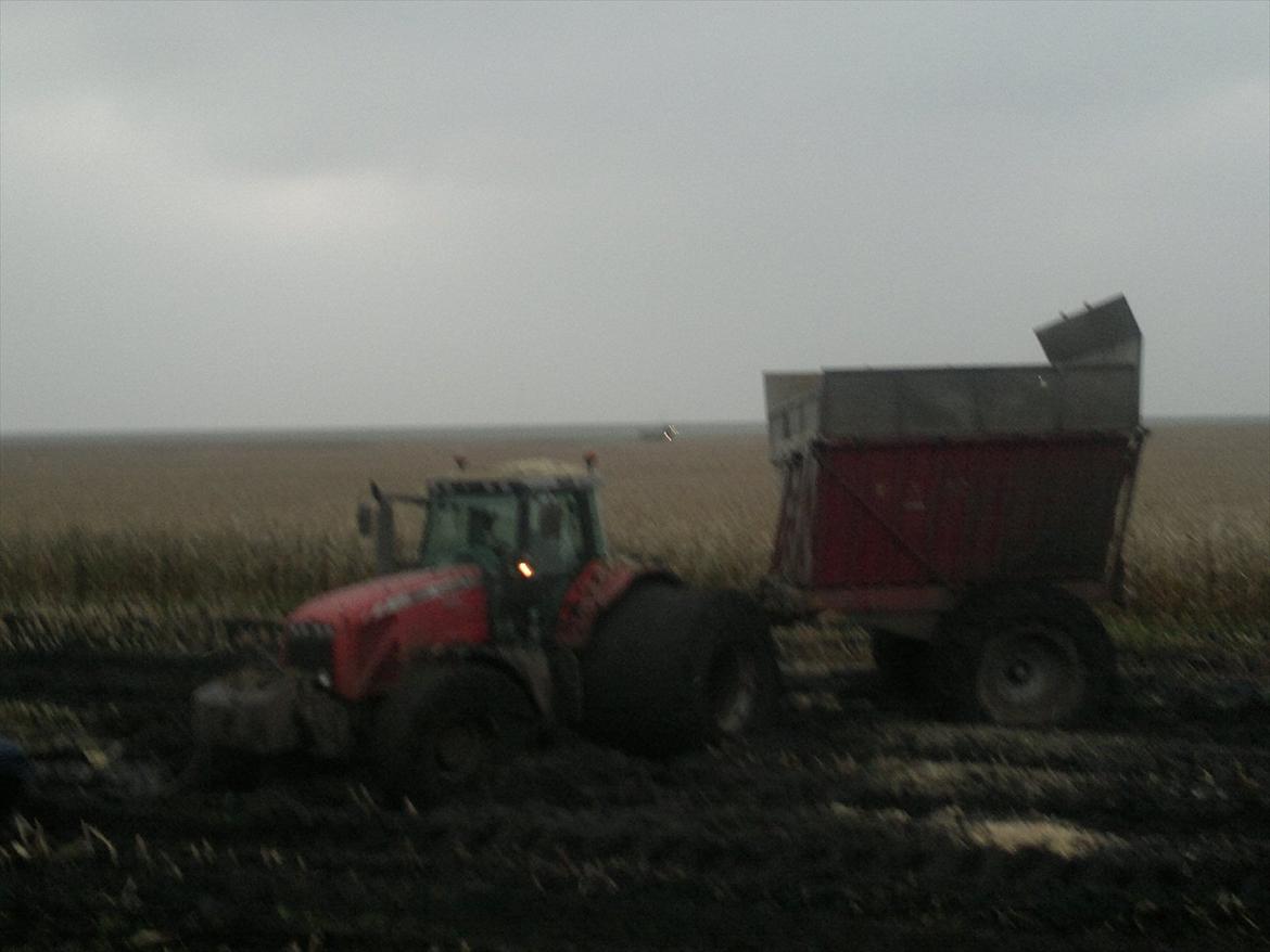 Rejsby maskinstation I/S billede 375