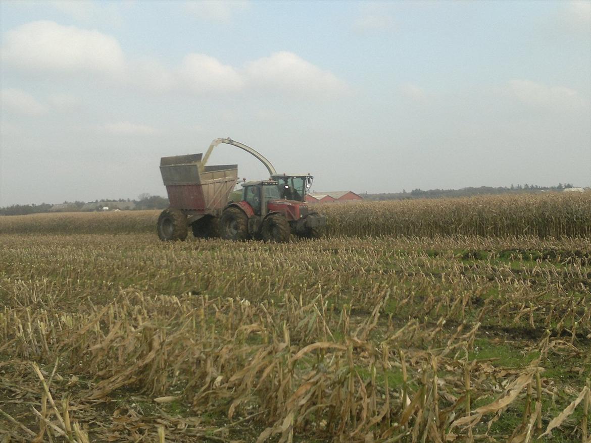 Rejsby maskinstation I/S billede 376