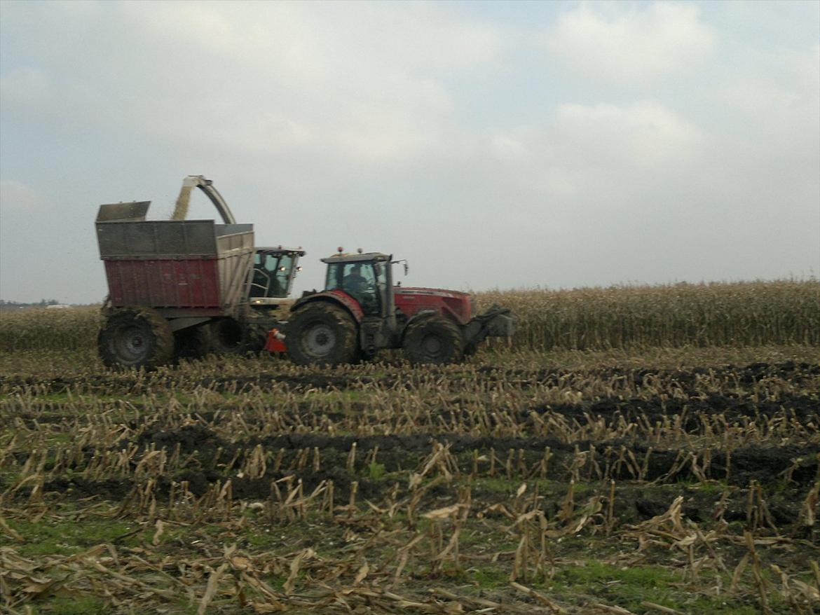 Rejsby maskinstation I/S billede 377