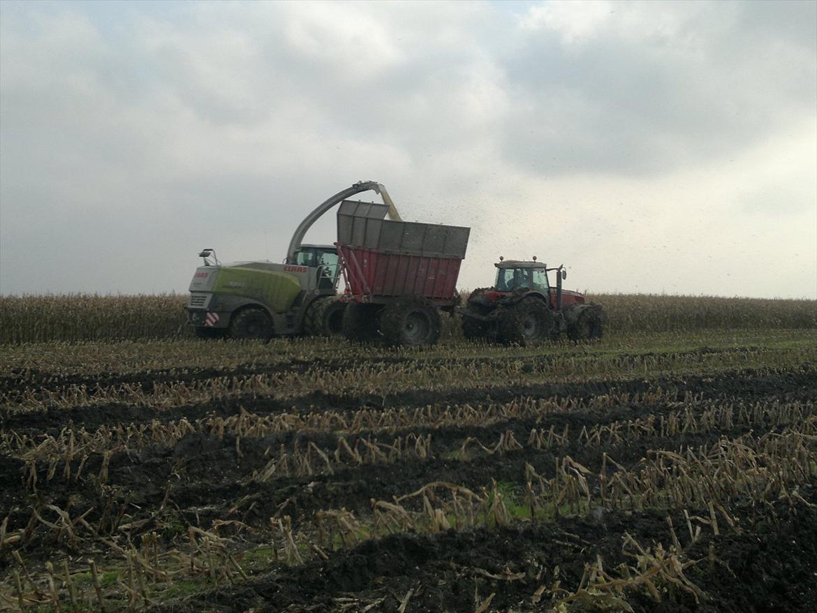 Rejsby maskinstation I/S billede 378