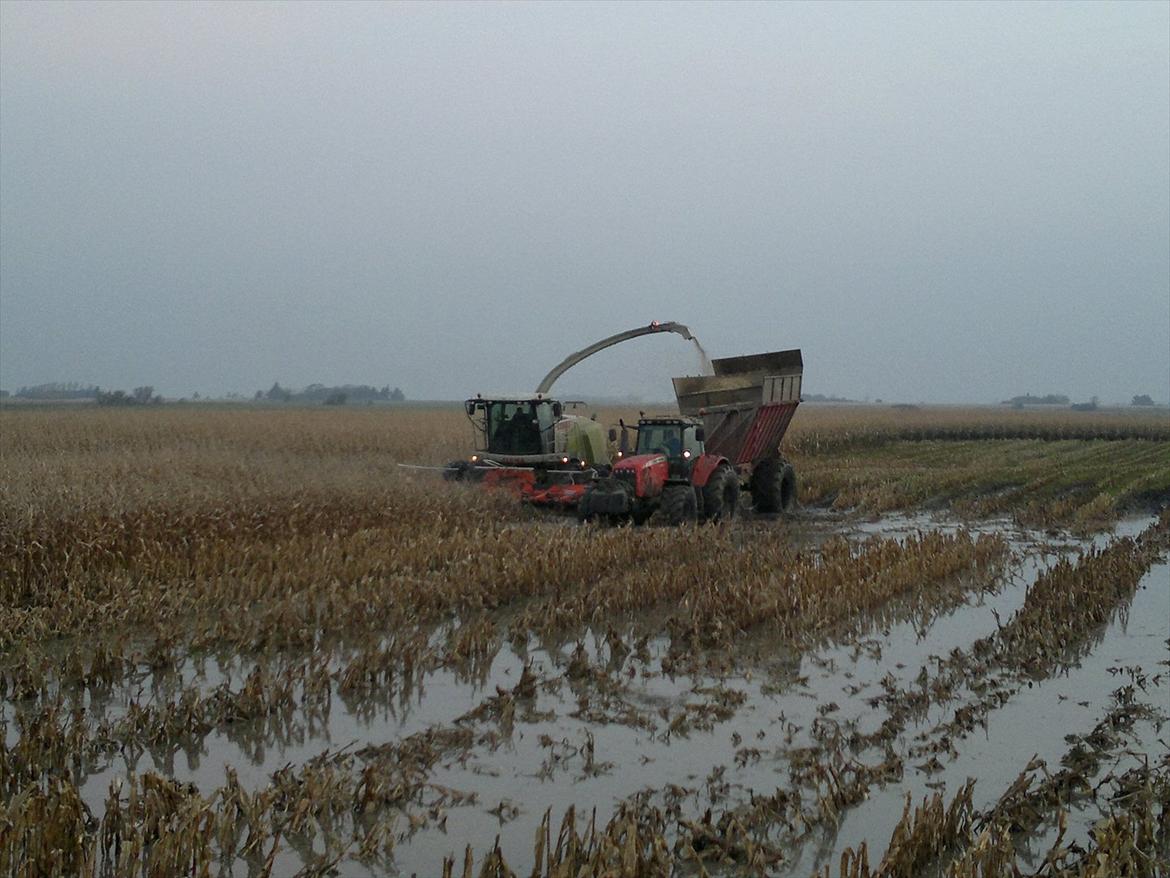 Rejsby maskinstation I/S billede 380
