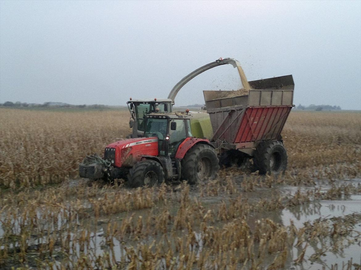 Rejsby maskinstation I/S billede 382